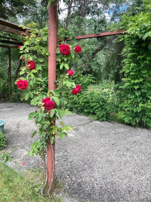 Casa Rural La Fresneda De Tenzuela Сеговия Экстерьер фото